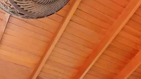 peter jackson1 online show from 12-04-24, 11:57