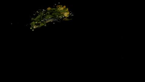 Snapshot of petitgirl_ chatting on 01-01-25, 04:18 J A S S online show from 01-01-25, 04:18