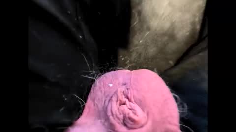 petrol63102 online show from 02-20-26, 01:22