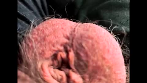 petrol63102 online show from 02-26-26, 01:10