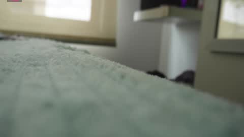 Snapshot of pettercat chatting on 01-05-25, 06:24 Pettercat online show from 01-05-25, 06:24