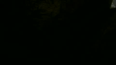 pgls online show from 01-19-25, 01:32