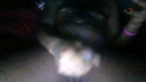 Snapshot of phantomb100 chatting on 10-24-25, 05:04 Phantomblaze online show from 10-24-25, 05:04