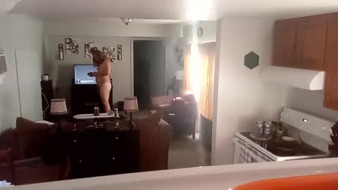 Snapshot of phinfan35276 chatting on 02-23-25, 08:44 Phinfan online show from 02-23-25, 08:44