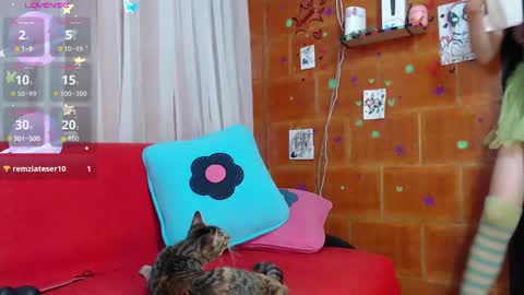 Sky online show from 11-04-25, 08:30