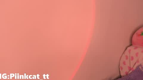 Snapshot of piinkcat chatting on 12-03-25, 05:37 Emi online show from 12-03-25, 05:37