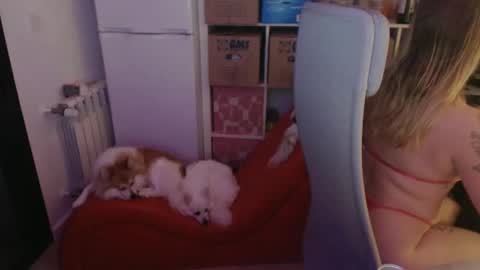 Snapshot of pinkladyx2 chatting on 02-21-25, 06:48 pinkladyx2 online show from 02-21-25, 06:48