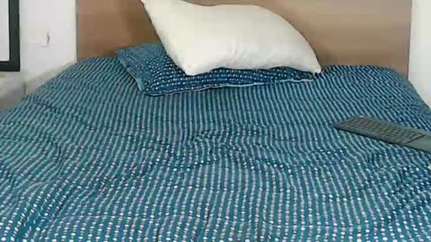 Snapshot of pinkliminof chatting on 01-29-25, 02:09 Pamela Ston online show from 01-29-25, 02:09