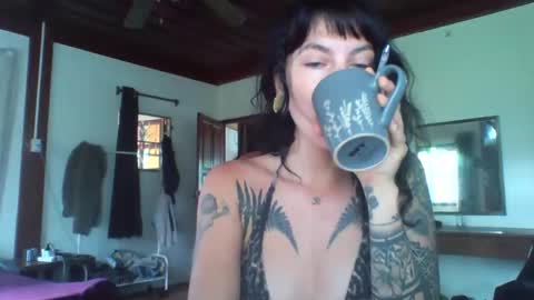 pixiecatfairy online show from 11-13-25, 02:21