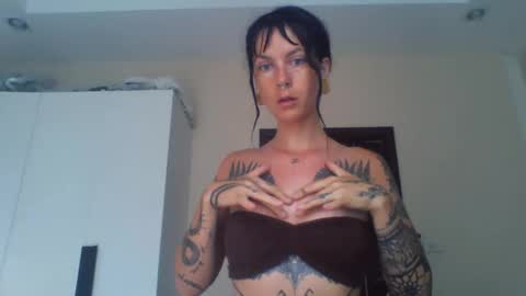 Snapshot of pixiecatfairy chatting on 02-23-26, 02:53 pixiecatfairy online show from 02-23-26, 02:53