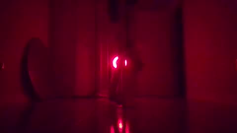 Planetvee online show from 11-07-25, 02:33