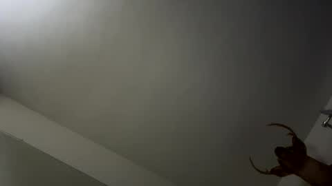 playerpleasure online show from 11-09-25, 03:49