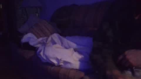 playerpleasure online show from 04-04-26, 10:02