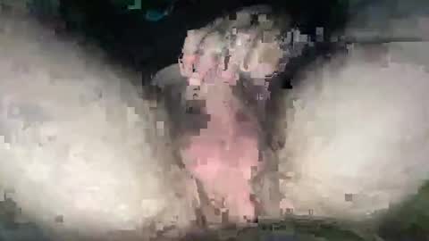 playwitityuh online show from 09-27-25, 04:39