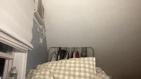 Snapshot of plushicore chatting on 02-15-26, 02:08 stariette online show from 02-15-26, 02:08