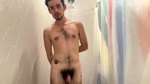 Pluto The Pup online show from 11-18-25, 08:46