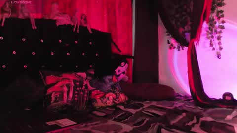  Luna  online show from 02-15-26, 12:47