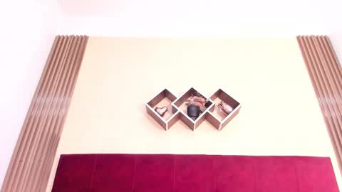 Polet online show from 12-19-24, 10:53