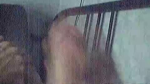 polochar online show from 03-15-26, 04:40