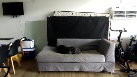 Snapshot of popopo00 chatting on 01-28-25, 05:24 popopo0 online show from 01-28-25, 05:24