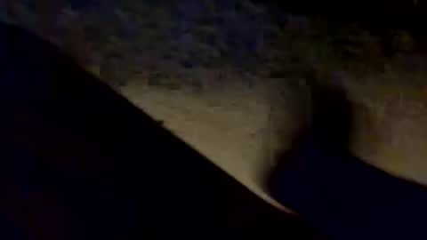 Snapshot of porkchopak chatting on 09-17-25, 10:17 porkchopak online show from 09-17-25, 10:17