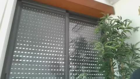 portugalerect online show from 01-08-26, 10:17