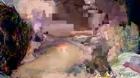 dikud0wn online show from 11-02-25, 04:26