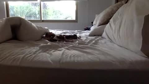 ppsmall_17 online show from 03-27-26, 11:10