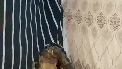 pretty705007 online show from 03-21-26, 12:26