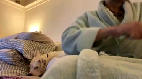 Snapshot of pretty_boy_jack chatting on 02-03-25, 02:47 pretty_boy_jack online show from 02-03-25, 02:47