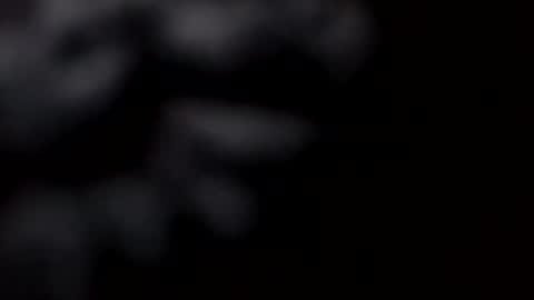 Snapshot of pretty_boy_jack chatting on 02-28-25, 10:52 pretty_boy_jack online show from 02-28-25, 10:52