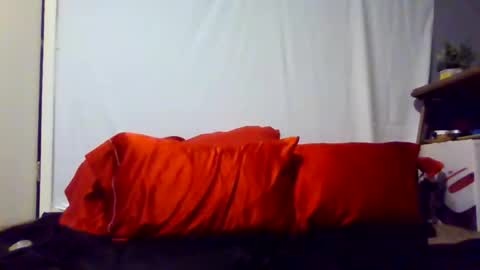 Snapshot of prettyhairedbone chatting on 02-18-26, 03:24 Pink Pussy69 online show from 02-18-26, 03:24