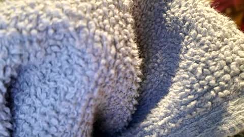 PrettyPrick4U online show from 01-22-25, 01:42