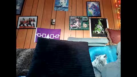 prettysolid7 online show from 02-15-26, 12:58