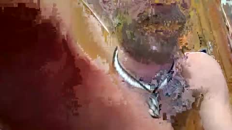 prettysolidd7 online show from 12-02-24, 02:42