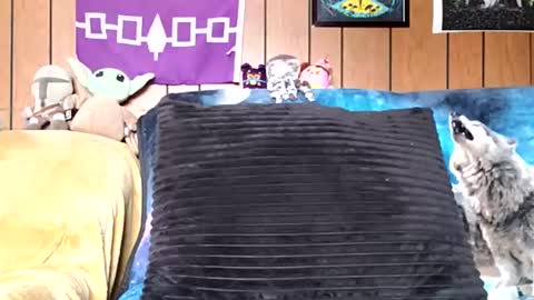 prettysolidd7 online show from 01-05-25, 02:52