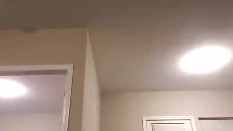 prettysolidd7 online show from 01-07-25, 03:57