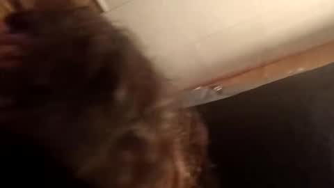 Snapshot of princessbrii537133 chatting on 11-22-25, 11:09 princessbrii537133 online show from 11-22-25, 11:09