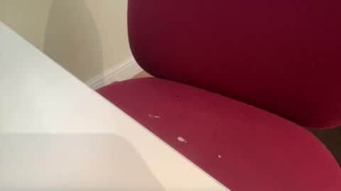 Snapshot of pritchj chatting on 03-10-25, 12:37 pritchj online show from 03-10-25, 12:37