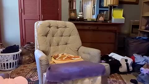 Snapshot of professorspanky chatting on 01-27-25, 05:04 professorspanky online show from 01-27-25, 05:04