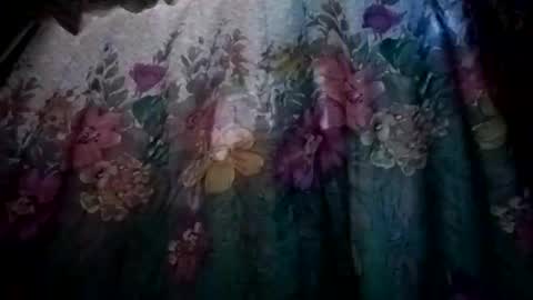 prvive2025 online show from 10-05-25, 07:34