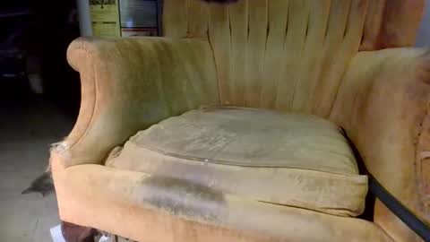 Snapshot of pspee313 chatting on 10-31-25, 11:06 pspee313 online show from 10-31-25, 11:06