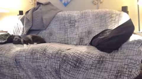 puff0169 online show from 02-12-26, 07:25