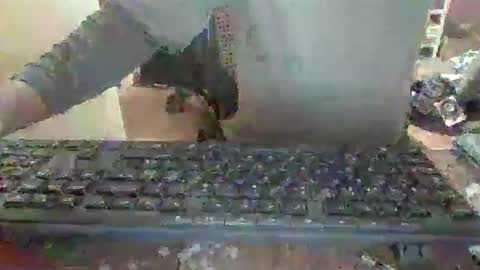 pup_y online show from 12-14-25, 06:56