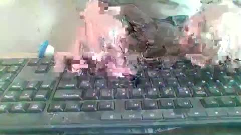 pup_y online show from 01-09-26, 09:56