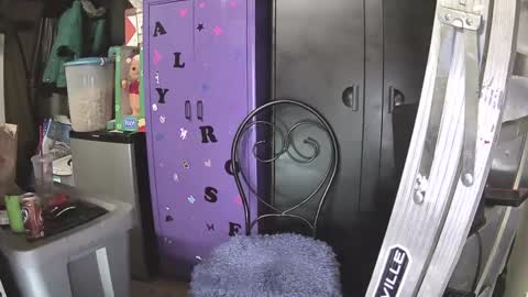 Snapshot of pussy_licker0127 chatting on 12-07-24, 10:23 Mark online show from 12-07-24, 10:23