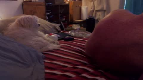 Snapshot of pussyeat2please chatting on 01-14-25, 03:26 Rick online show from 01-14-25, 03:26