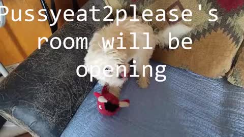 Snapshot of pussyeat2please chatting on 02-25-25, 11:08 Rick online show from 02-25-25, 11:08