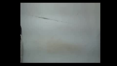 Snapshot of pussyxwetx chatting on 02-04-26, 08:14 pussyxwetx online show from 02-04-26, 08:14