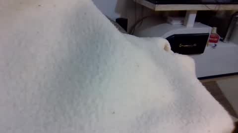 queen014 online show from 12-02-25, 10:27